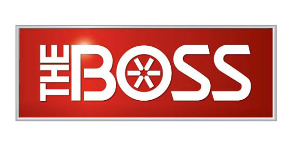 The Boss Schneeschilde und Streuer The Boss Schneeschilde und Streuer